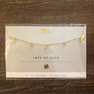 Lots of luck clover charm necklace 16”-18”